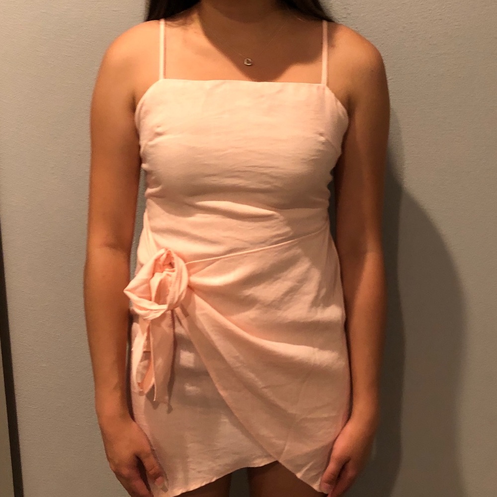 light pink white fox dress